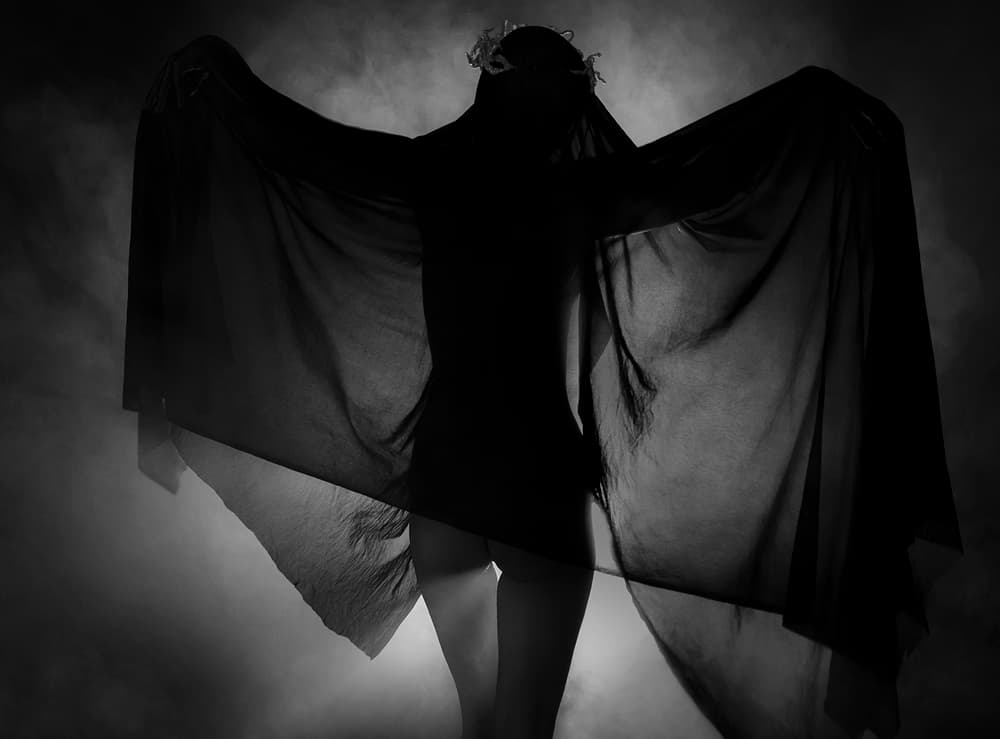 Ethereal Dark Silhouette by Alexandra Fira — canvas wall art