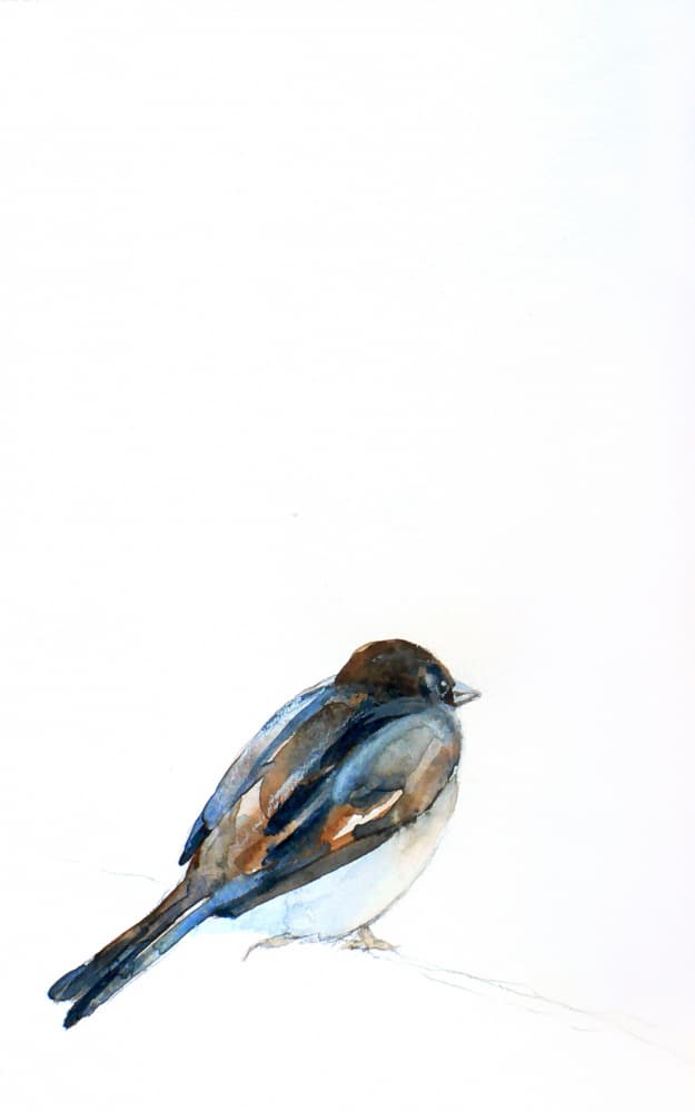 Perched Sparrow Watercolor by Christine Lindstrom — canvas wall art