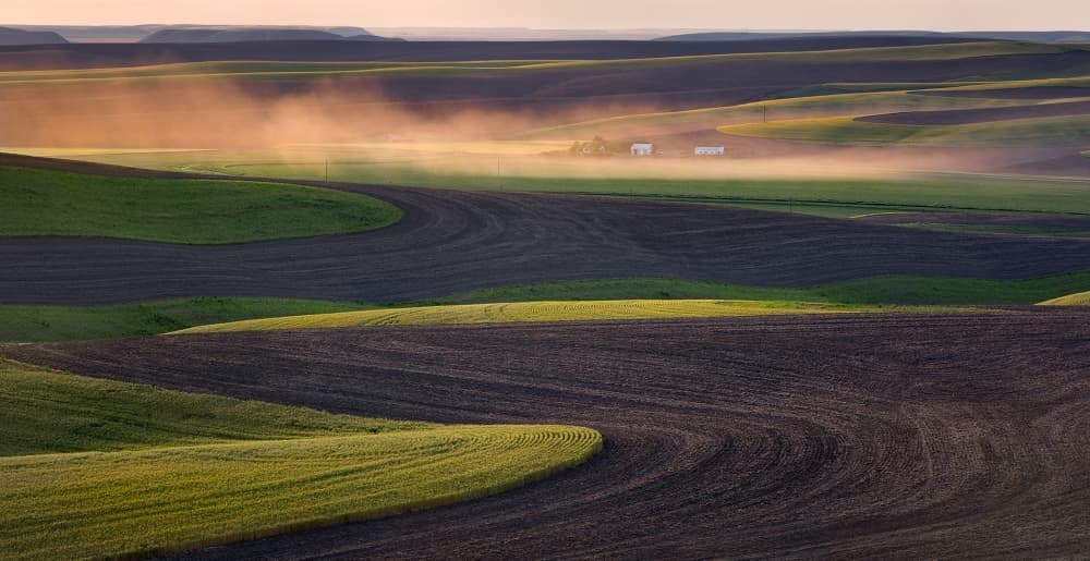 Mist Over Rolling Hills by Shenshen Dou — canvas wall art