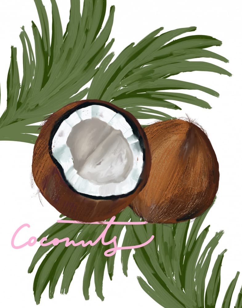 Tropical Coconuts by Josie George — canvas wall art