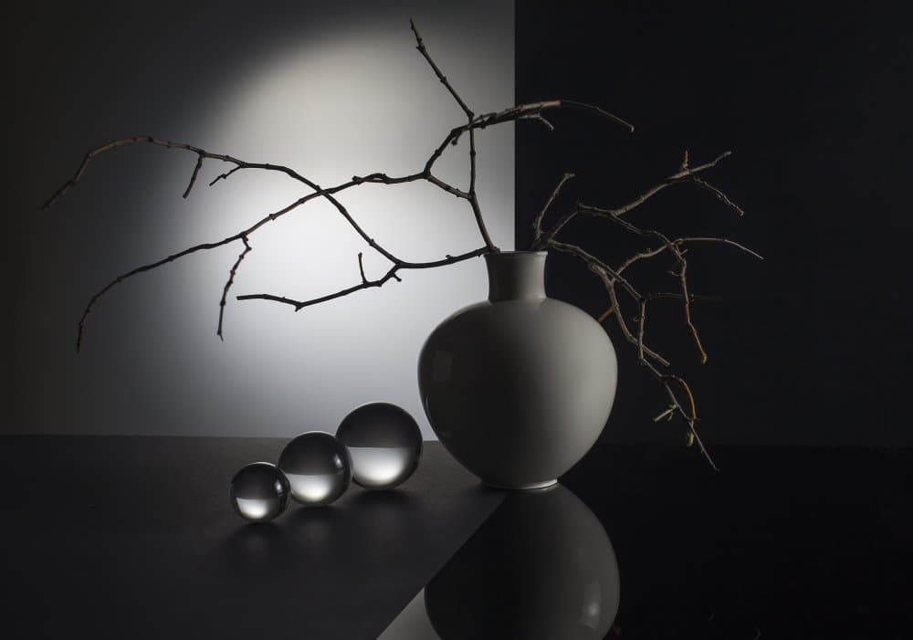 Reflective Branch Still Life by Evgeniy Popov — canvas wall art