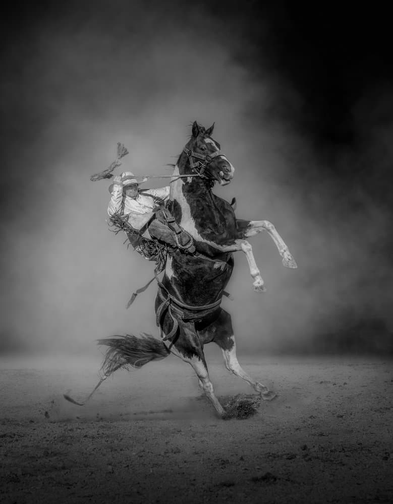 Cowboy on Bucking Horse by Frank Ma — canvas wall art