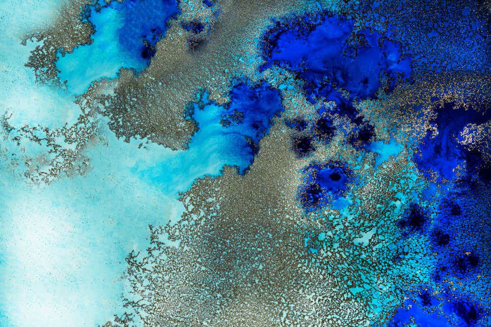 Fiji Coral Reef - Reef Resonance by Petra Meikle de Vlas — canvas wall art