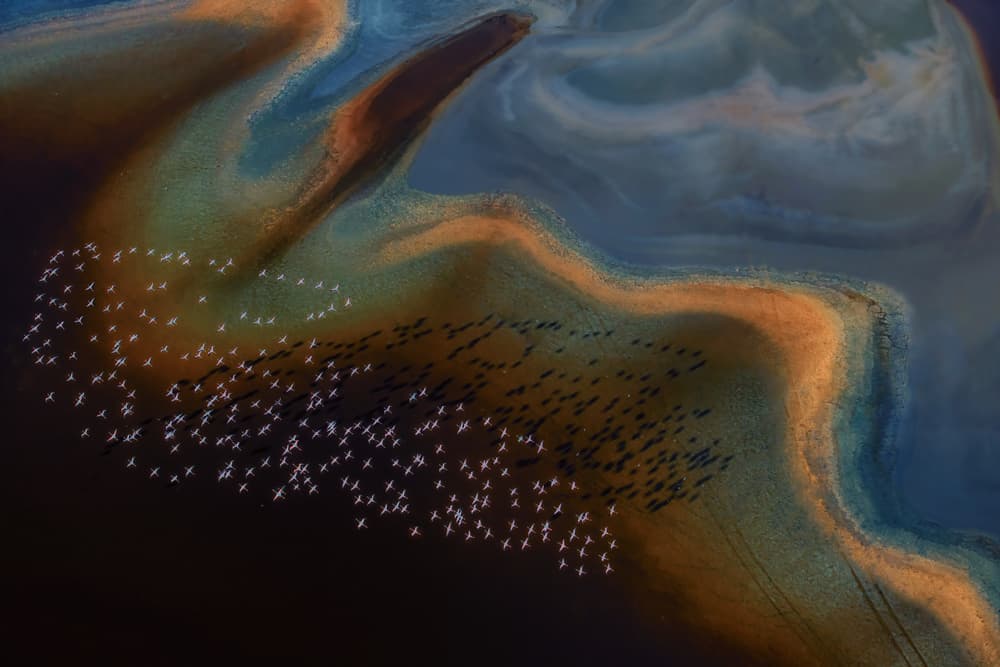 Birds Over Colorful Water by Leah Xu — canvas wall art