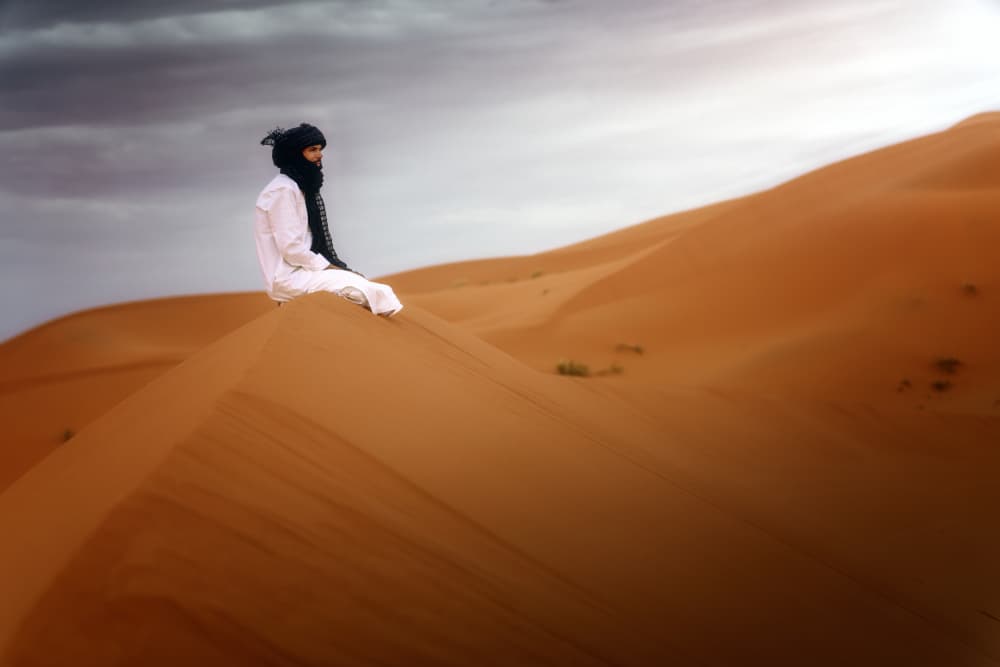 Desert Solitude by Ricardo Gayan — canvas wall art
