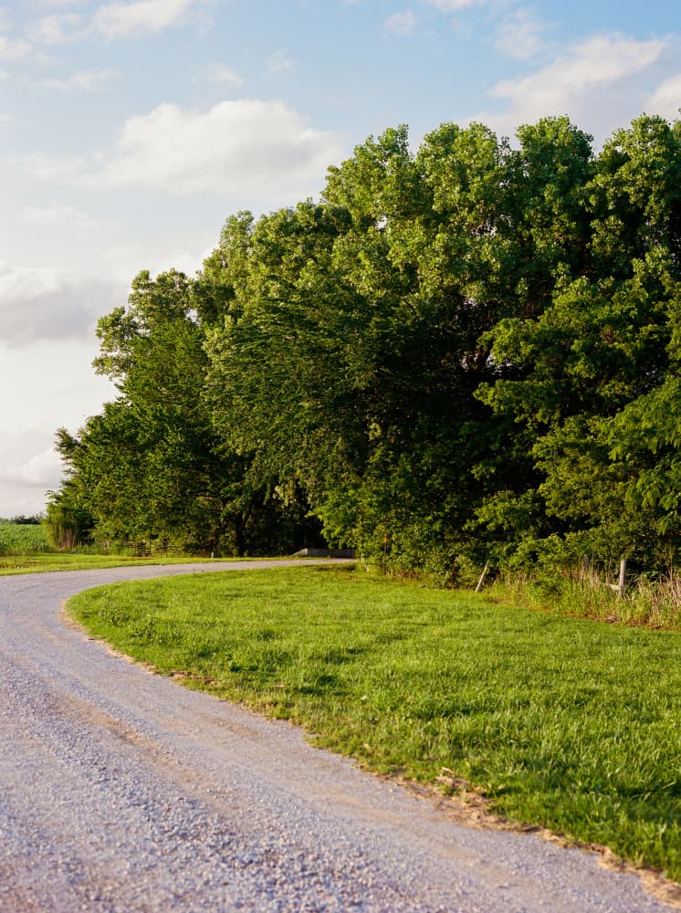 Winding Country Road by Bethany Young — canvas wall art