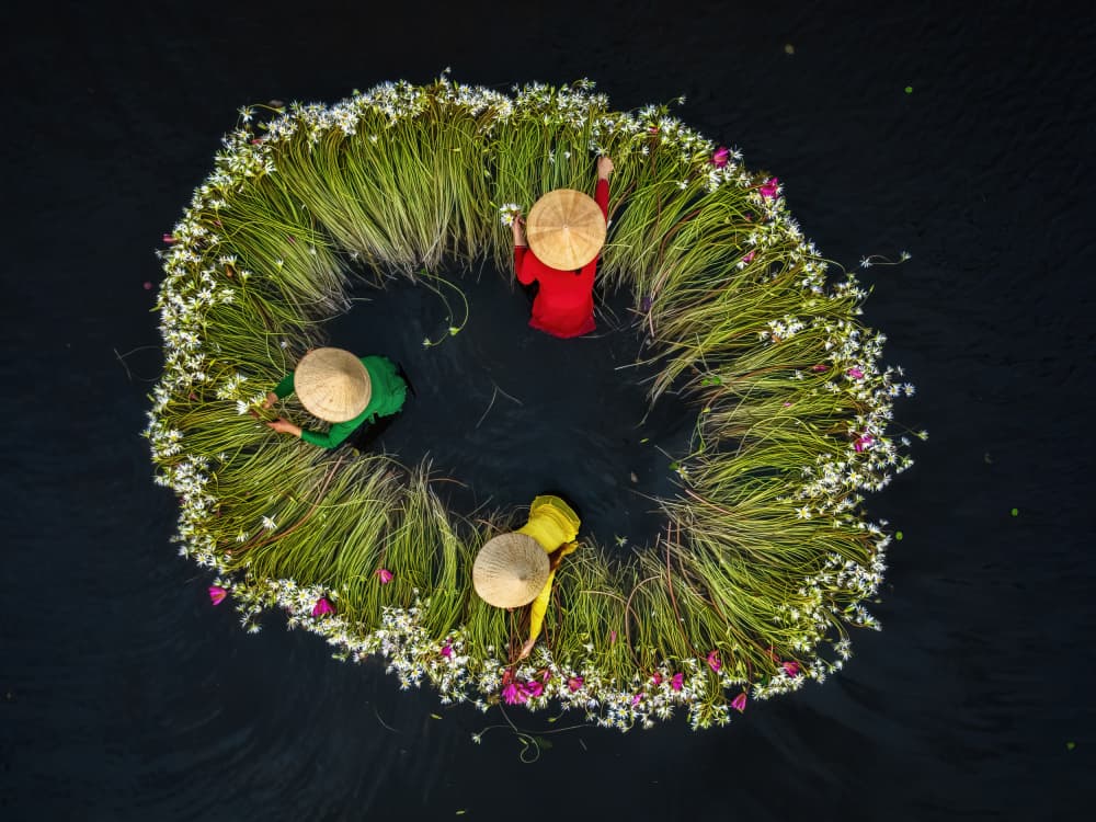 Women's Lotus Circle by Antoni Figueras — canvas wall art