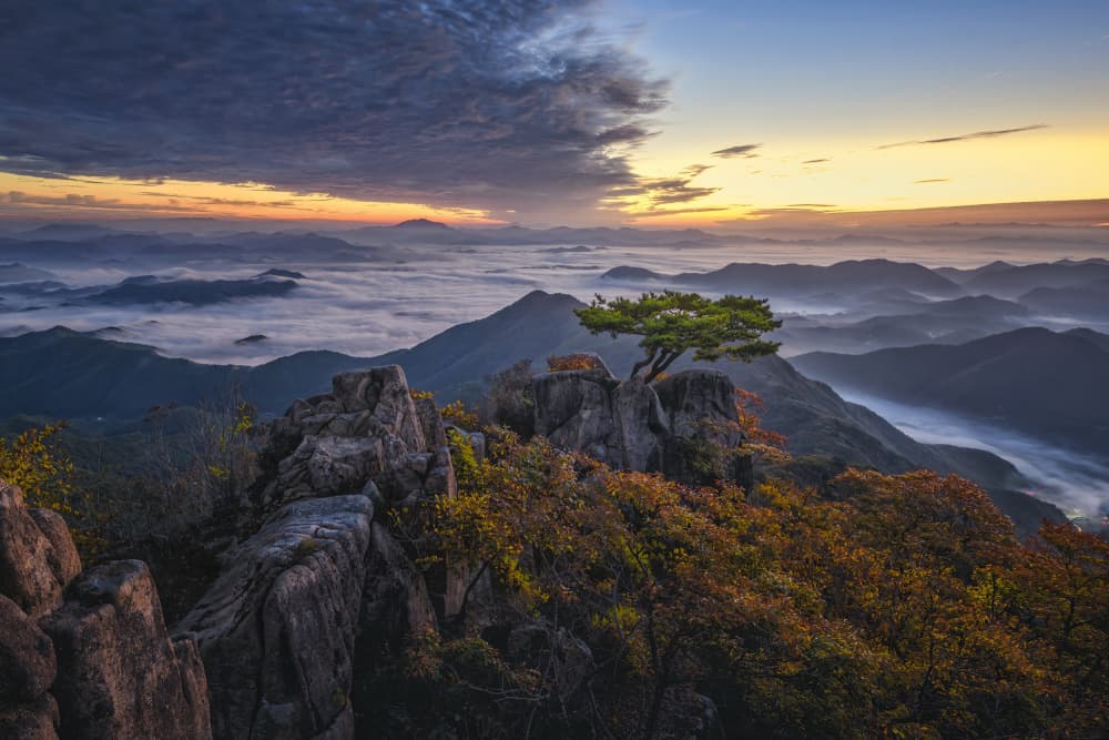 Misty Mountain Dawn by Tiger Seo — canvas wall art
