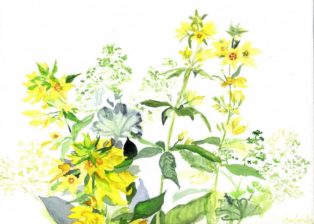 Vibrant Yellow Garden by Eva Galonska — canvas wall art