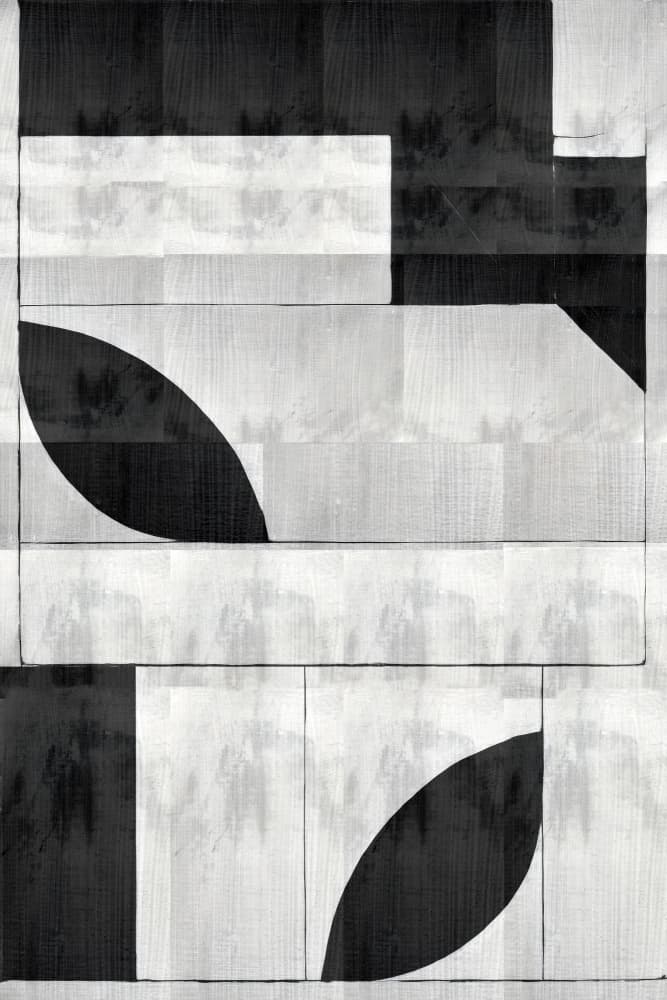 Monochrome Organic Shapes by cartissi — canvas wall art