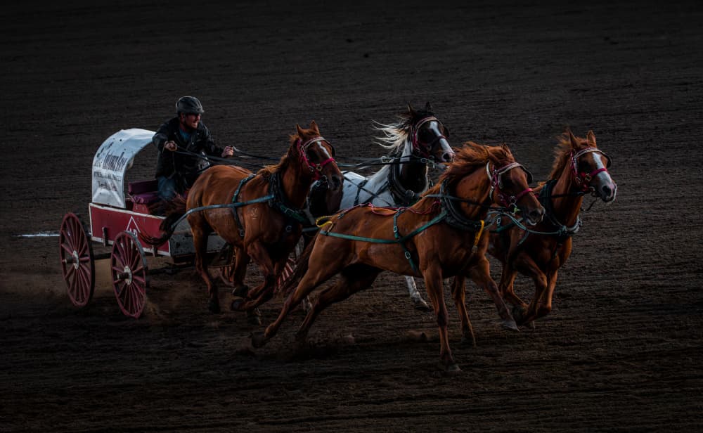 Chuckwagon Race Action by Bing Li — canvas wall art