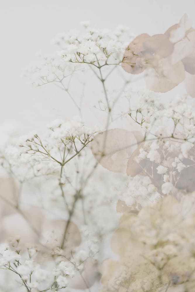 Ethereal White Flowers by Pelin Atilla — canvas wall art