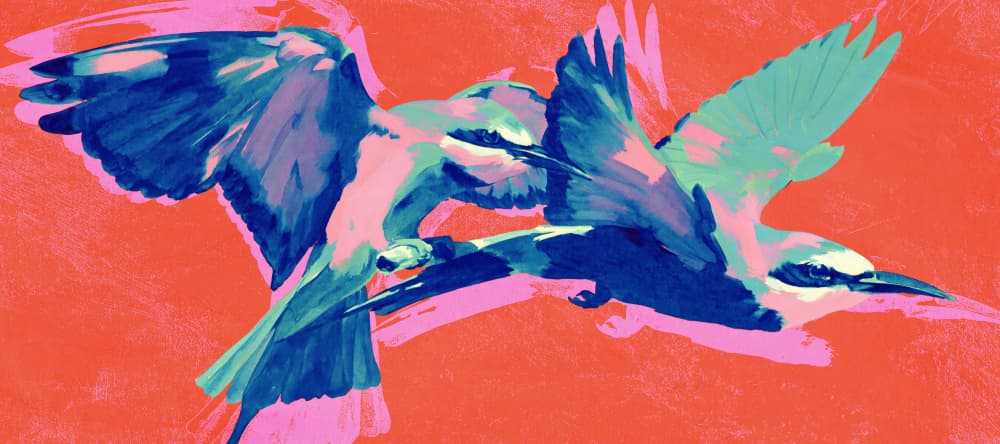 Vibrant Birds in Flight by Treechild — canvas wall art