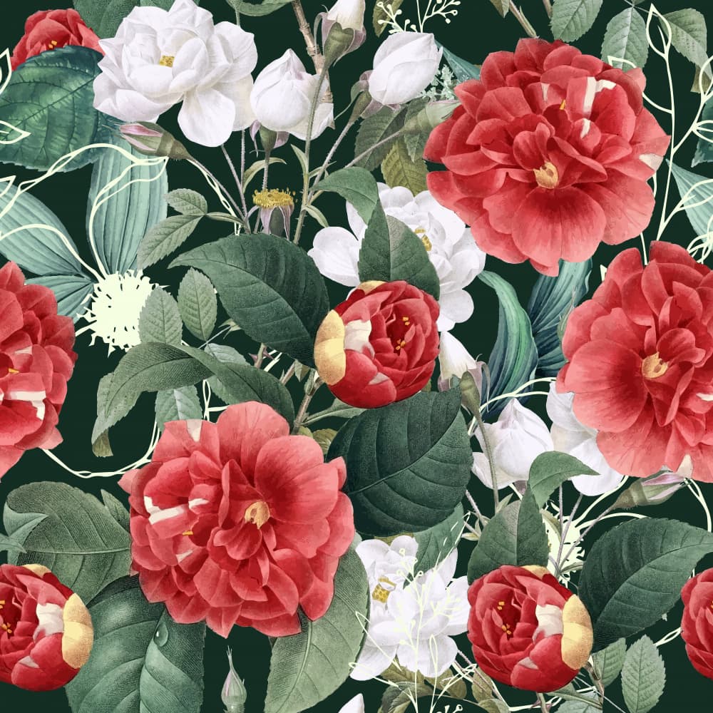 Red Camellias Botanical by Uma Gokhale — canvas wall art