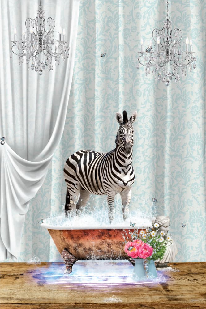 Whimsical Zebra Bath by Sue Skellern — canvas wall art