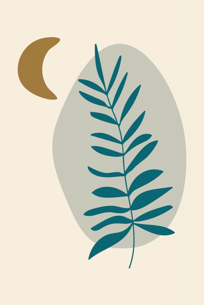Calm Botanical Crescent by Dina Dankers — canvas wall art