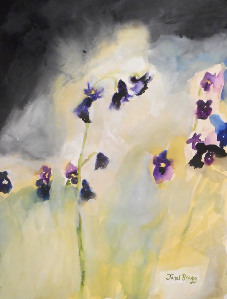 Dreamy Pansy Blooms by Janel Bragg — canvas wall art