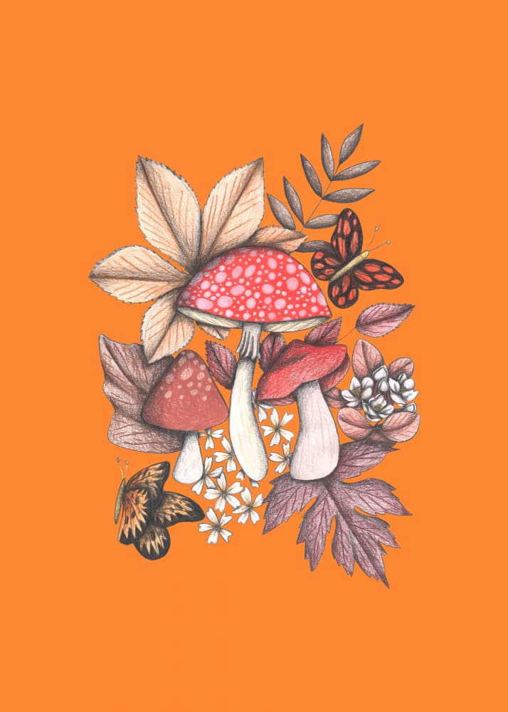 Autumn Woodland Mushrooms by Cecilia Battaini — canvas wall art