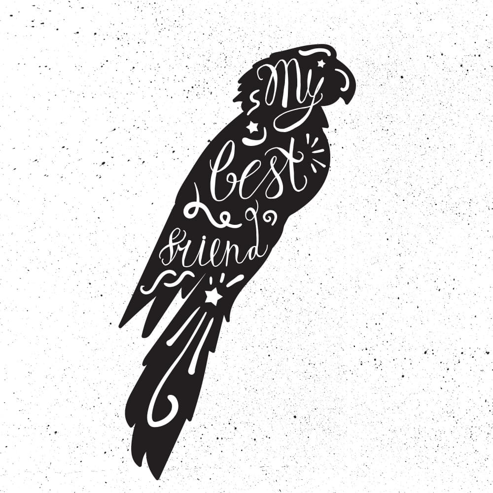 My Best Friend Parrot by Marika Barsrsind β canvas wall art