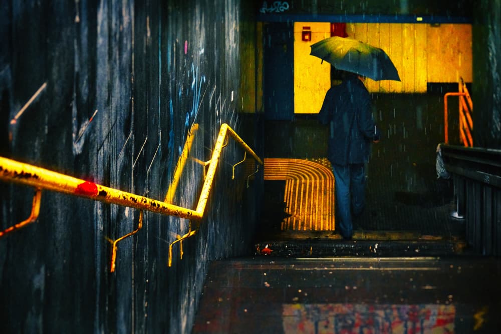 Solitary Rainy Steps by Elena Raceala — canvas wall art
