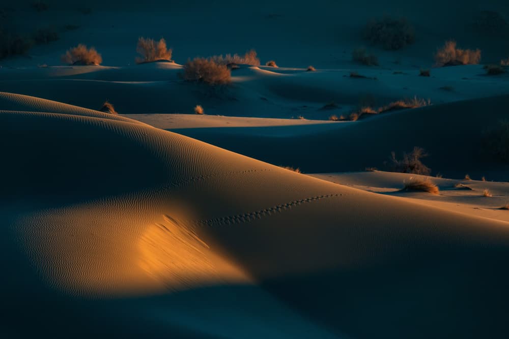 Golden Desert Dunes by Babak Mehrafshar — canvas wall art