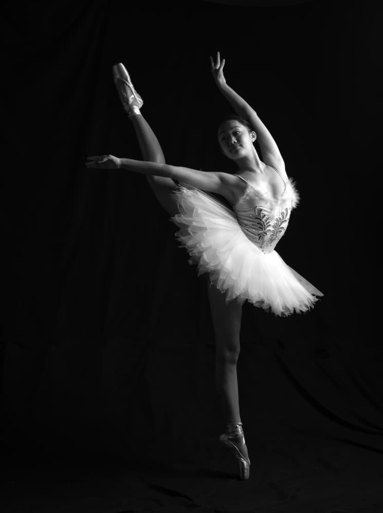 Elegant Ballerina Pose by Catherine Wang — canvas wall art