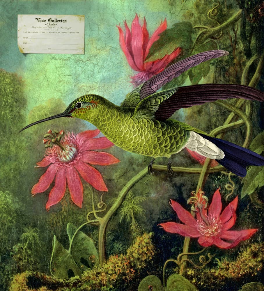 Vibrant Hummingbird Tropics by Marja van den Hurk — canvas wall art