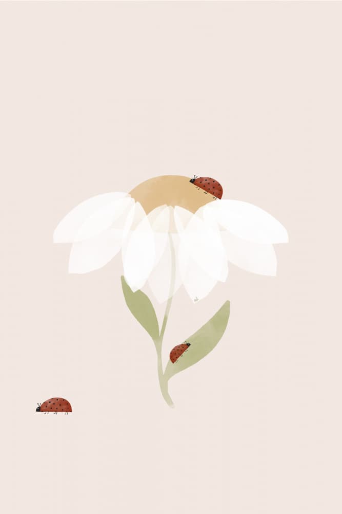 Sweet Daisy Ladybugs by Menina Lisboa — canvas wall art