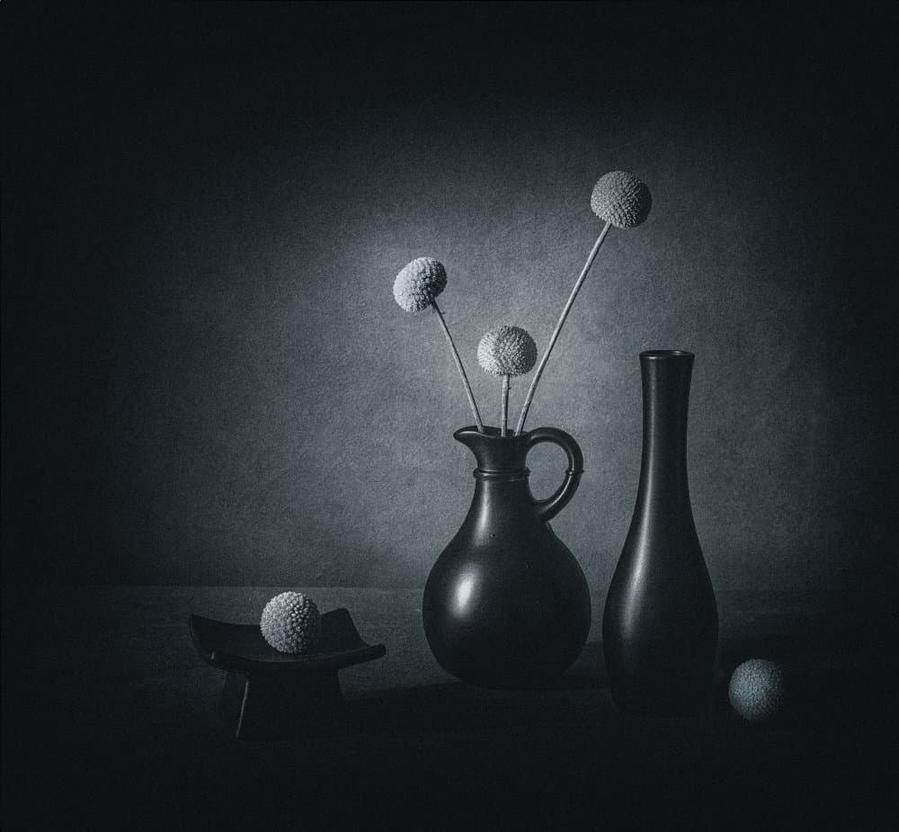 Dark Floral Still Life by May G — canvas wall art