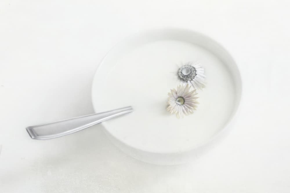 White Flowers In Milk by Delphine Devos — canvas wall art