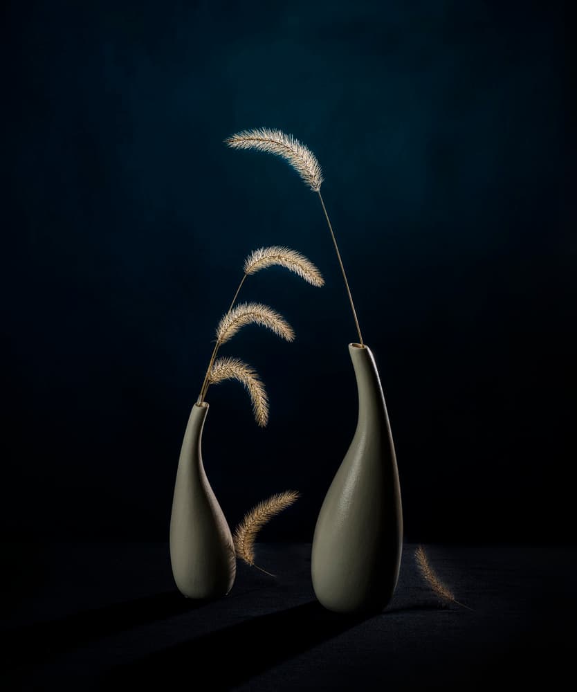 Moody Botanical Vases by John-Mei Zhong — canvas wall art