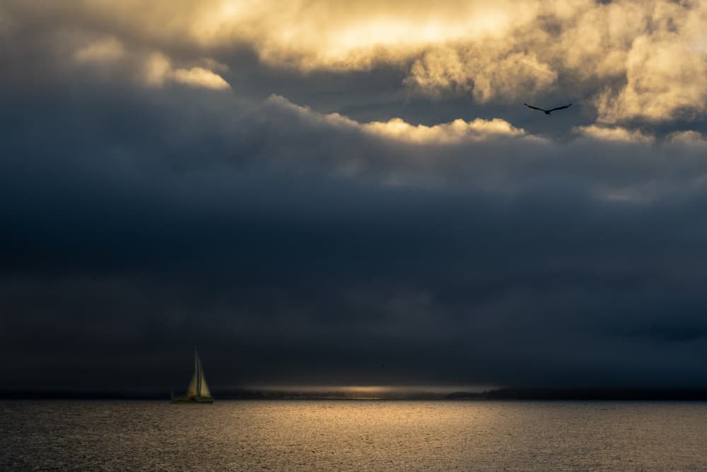 Golden Hour Sailboat by Sophia Li — canvas wall art