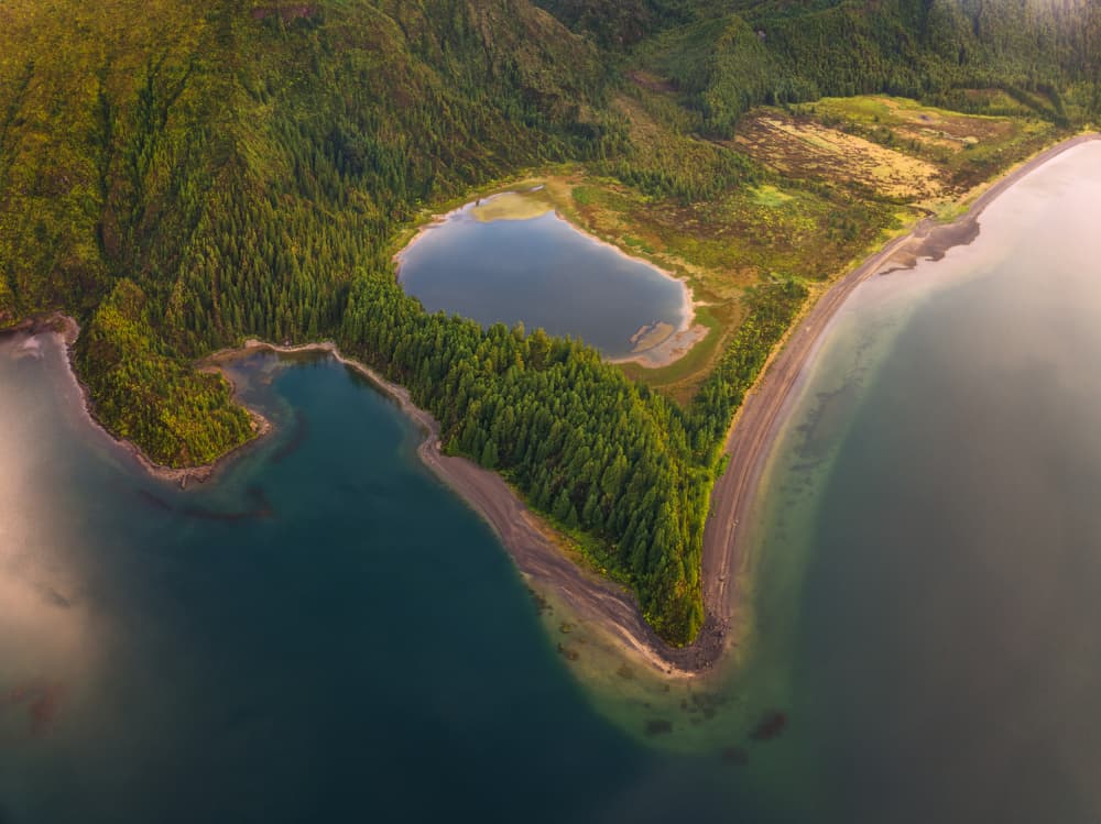 Coastal Forest and Lakes by David Martin Castan — canvas wall art