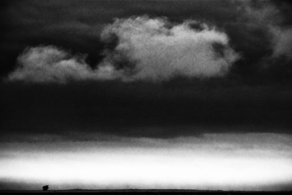 Dramatic Sky Lone Tree by Codrin Lupei — canvas wall art