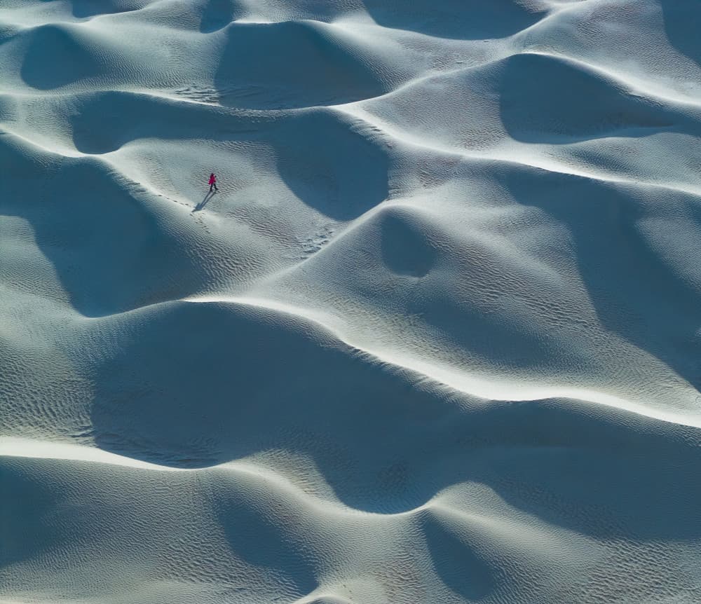 Solitary Desert Dunes Walk by Bingo Z — canvas wall art