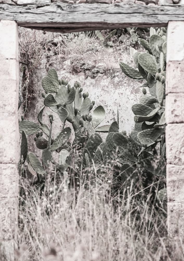 Desert Doorway Scene by Shot by Clint — canvas wall art