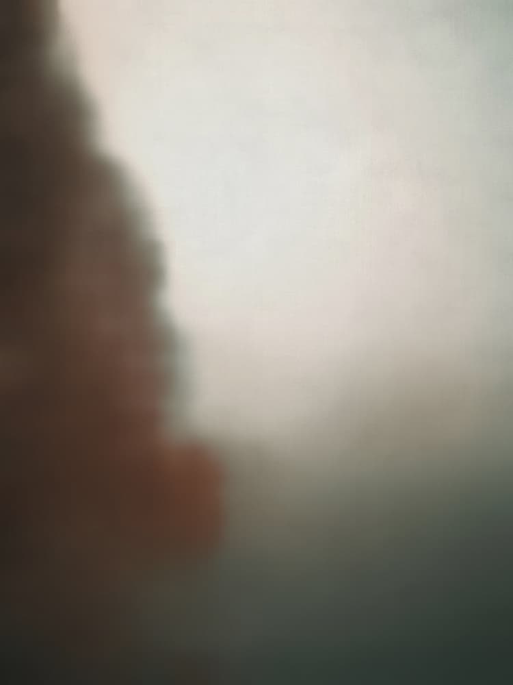 Misty Organic Abstract by Angelo Cerantola — canvas wall art
