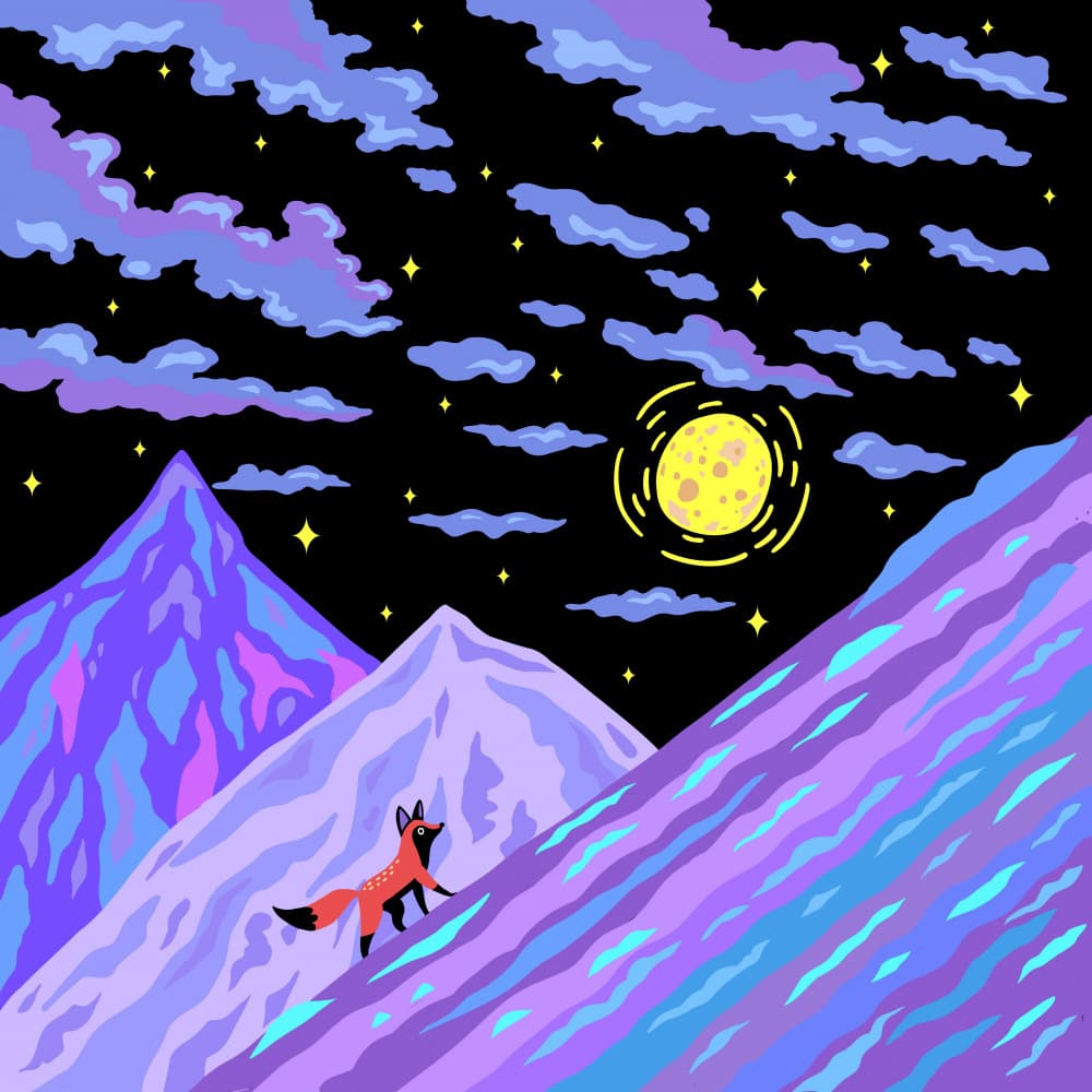 Mystical Fox Mountain Night by Tiago Leitao — canvas wall art