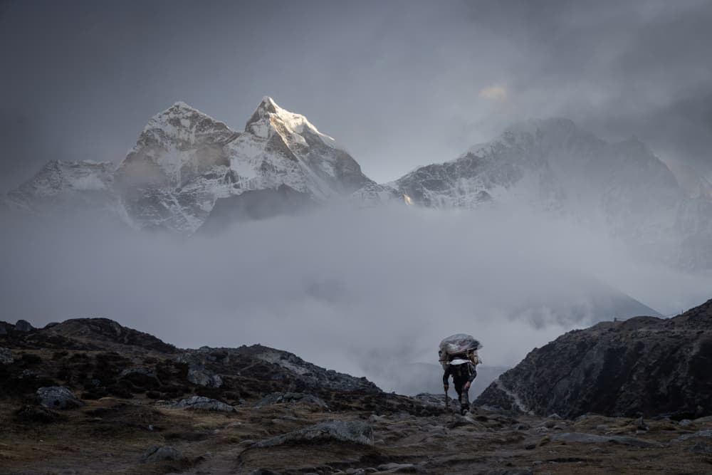 Misty Mountain Trek by Dan Mirica — canvas wall art