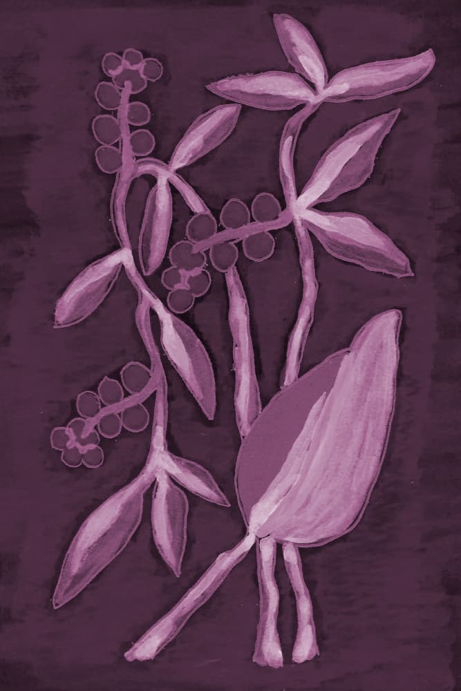 Deep Purple Botanicals by Lori Ann Folz — canvas wall art