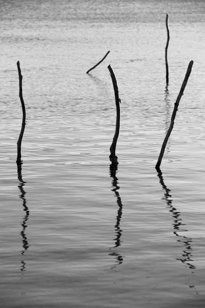 Reflected Stillness by Shot by Clint — canvas wall art