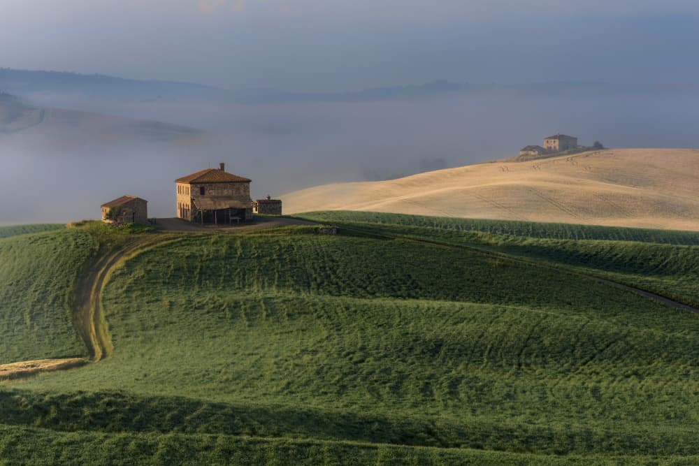 Misty Tuscan Morning by Jure Kravanja — canvas wall art