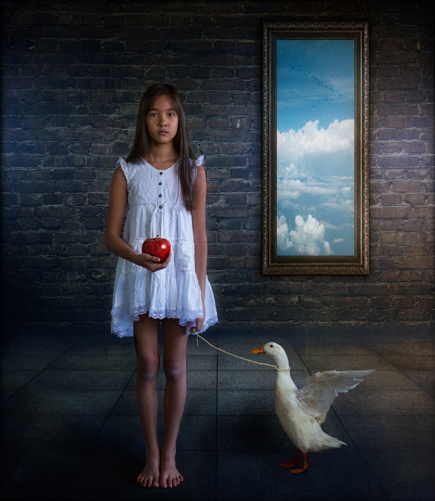 Girl Duck Dream Sky by Svetlana Melik-Nubarova — canvas wall art