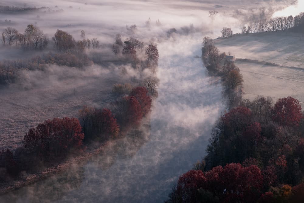 Misty Autumn River by Fabrizio Daminelli — canvas wall art