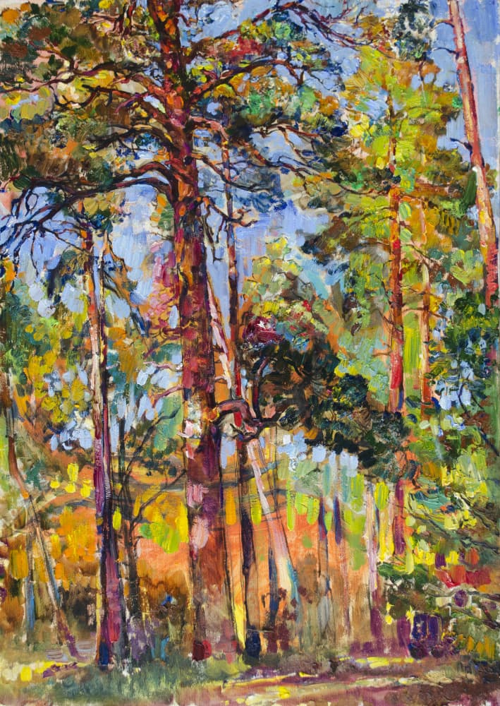 Sunlit Pine Forest by Andrii Kutsachenko — canvas wall art