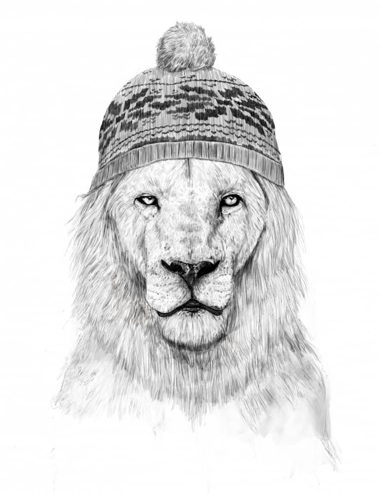 Cool Lion Beanie by Balazs Solti — canvas wall art