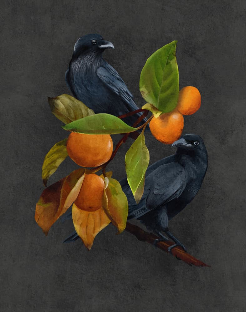 Crows and Persimmons by Katie O'Shea — canvas wall art