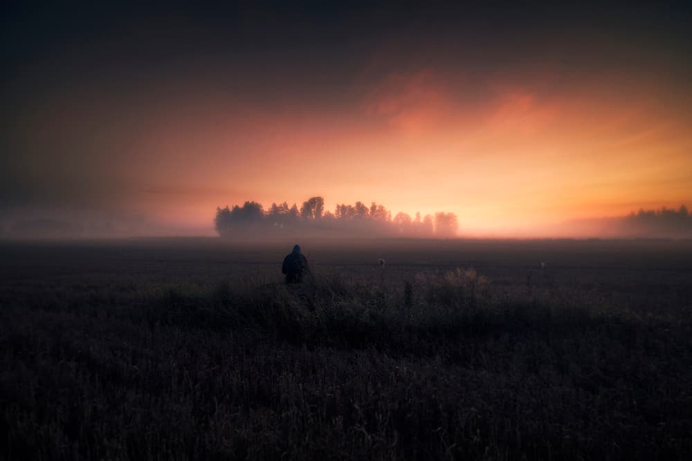 Misty Field Twilight Glow by Mika Suutari — canvas wall art