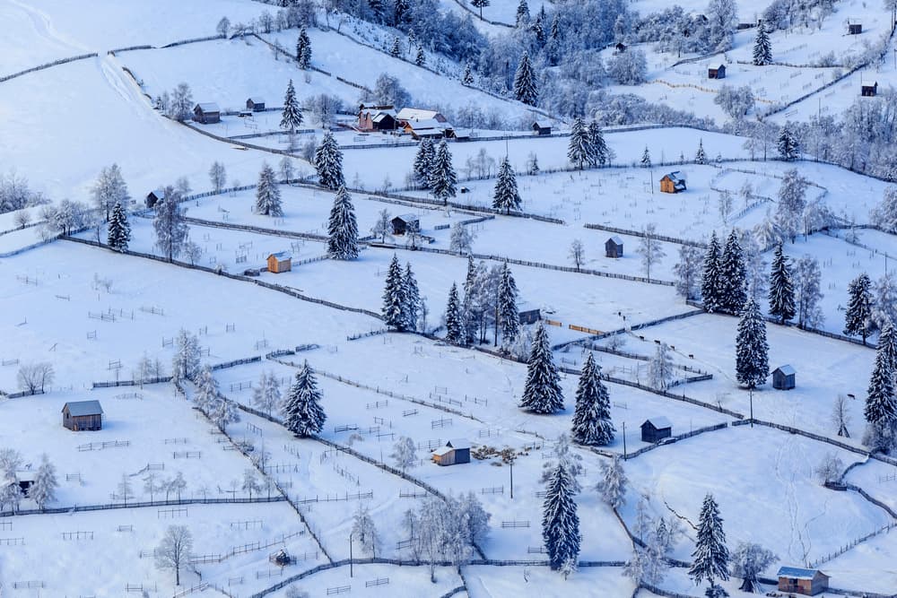 Snowy Mountain Village by Sveduneac Dorin Lucian — canvas wall art