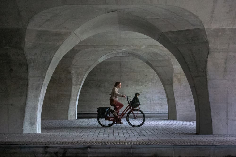 Cyclist With Dog Under Arches by Lus Joosten — canvas wall art